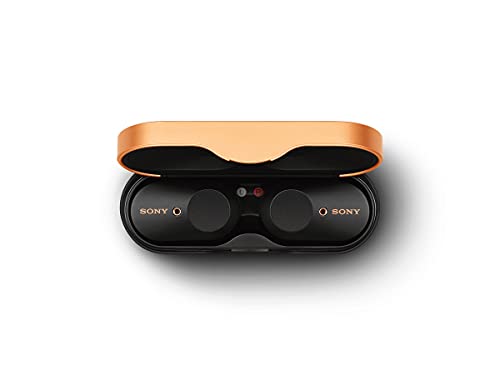 Sony WF-1000XM3/B Bluetooth Noise-Canceling (WF1000XM3) (Black)